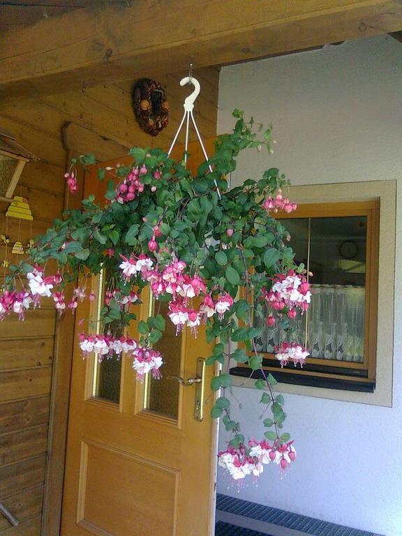Appartement Pension Grasser Bad Kleinkirchheim Exterior photo